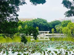 -人民公园(罗湖区)