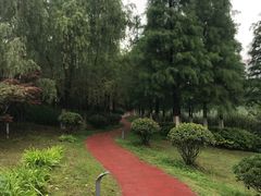 -滨湖塘西河公园
