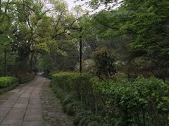 -法云安缦酒店
