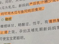 -野萃山·潮汕厚果汁(十亩地店)
