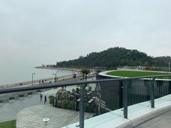 -野狸岛