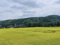 -南泥湾风景区