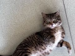 -中田健身工作室(嘉定江桥店)