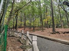 -灵岩山风景区