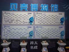 -贝壳梦幻世界