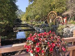 -广州白江湖森林公园