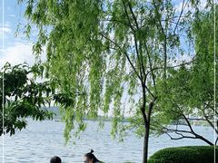 -西湖天地
