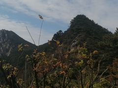 -含鄱口
