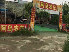 -阿鸟农庄(石壁店)