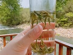 -天目湖御水温泉·度假酒店