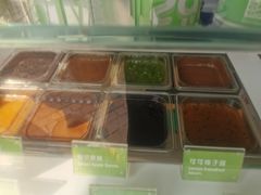 -Salud撒露欧洲冻酸奶(蓝色港湾店)