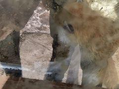 -新疆天山野生动物园