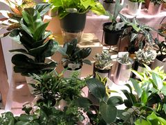 -The Green Party(嘉里中心店)