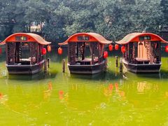 -侨美·唐荔园·40年地道粤菜