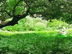 -荔香公园