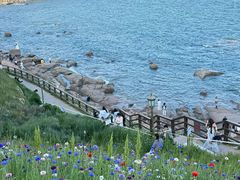 -燕儿岛山公园