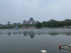 -莲花池公园