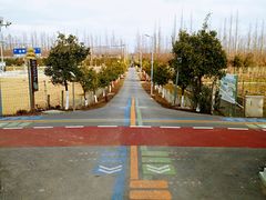 -上海长兴岛郊野公园