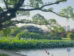 -江心屿景区