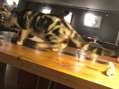 -猫的天空之城概念书店(杭州南宋御街店)