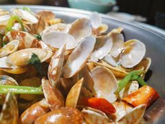 -前海沿·青岛菜(大拇指广场石老人店)