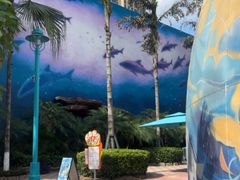 -海合安成都极地海洋公园