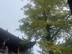 -金堂县云顶石城风景区