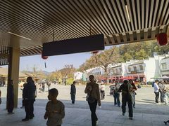 -千年银杏谷文化旅游区