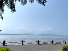 -深圳湾公园(南山区)