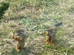 -大连森林动物园