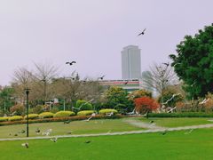 -白鹭洲公园