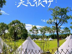 -上海长兴岛郊野公园