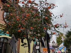 -歌斐颂巧克力小镇