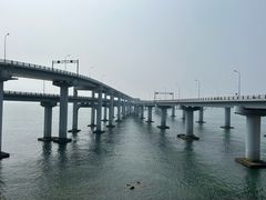 -星海湾跨海大桥