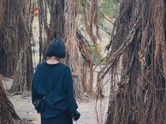 -北海市海滨公园