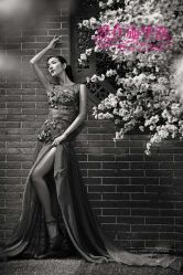 -施华洛婚纱摄影会所(范阳中路店)