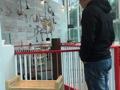 -为什么牛潮汕牛肉火锅(中信广场店)