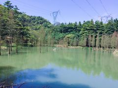 -广州市帽峰山景区