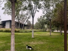 -汉长安城未央宫国家考古遗址公园