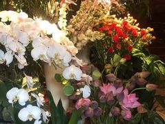 -春暖花开(西溪店)