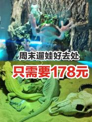 -七巧国萌宠乐园(龙湖天街店)