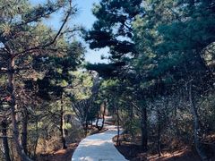 -樱桃山旅游景区