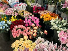 -桂林市花鸟市场