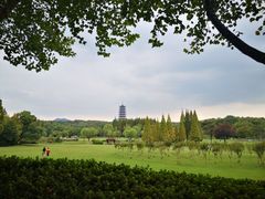 -宜兴龙背山森林公园