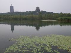 -永定河休闲森林公园