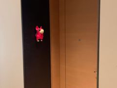 -上海崇明金茂凯悦酒店