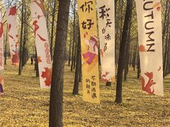 -汉景帝阳陵博物院