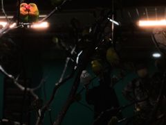 -上海大自然野生昆虫馆(东方明珠·爬宠昆虫探索中心)