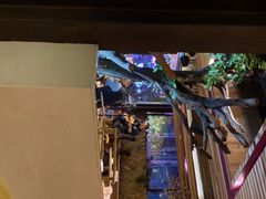 -渔太泰漓江小馆·广西融合菜(西街店)