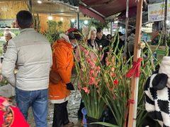 -桂林市花鸟市场